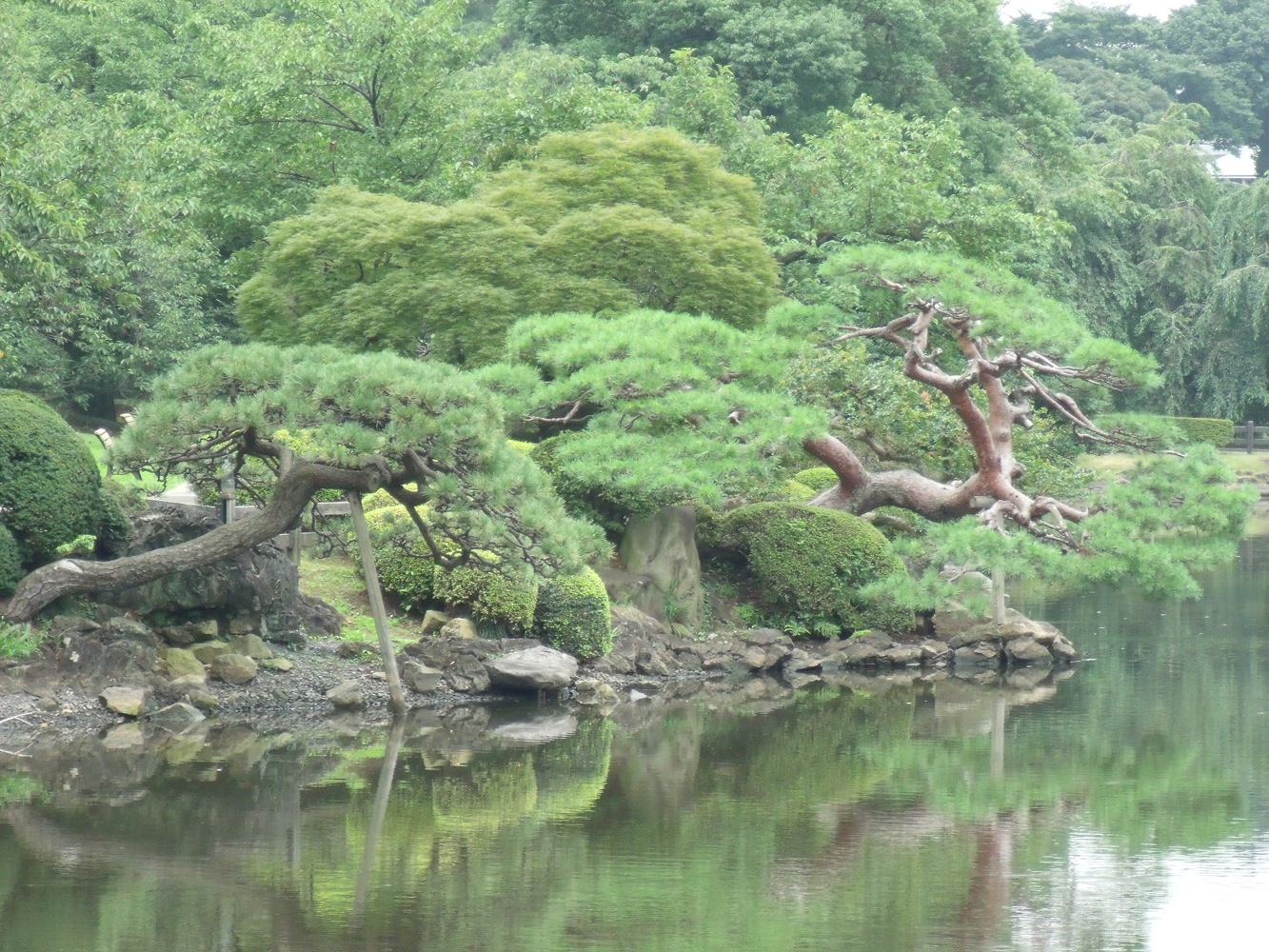 tokyo-parc