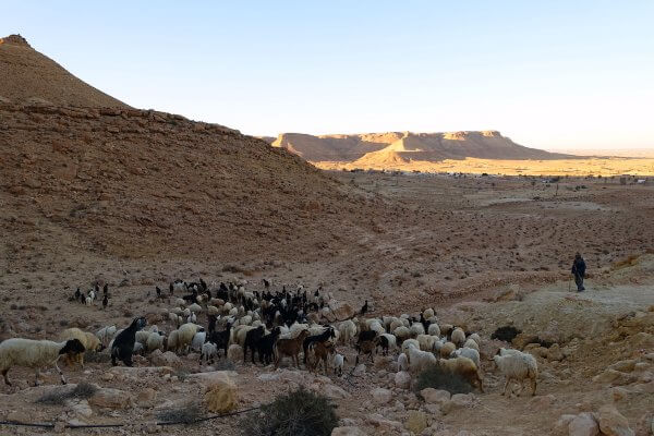 Dahar tunisien désert montagnes chair cœur