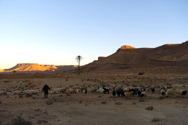 Dahar tunisien désert montagnes chair cœur